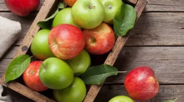 اكتشافات صحية عاجلة حبة التفاح اليومية تتجاوز التوقعات في حماية الجسم 1